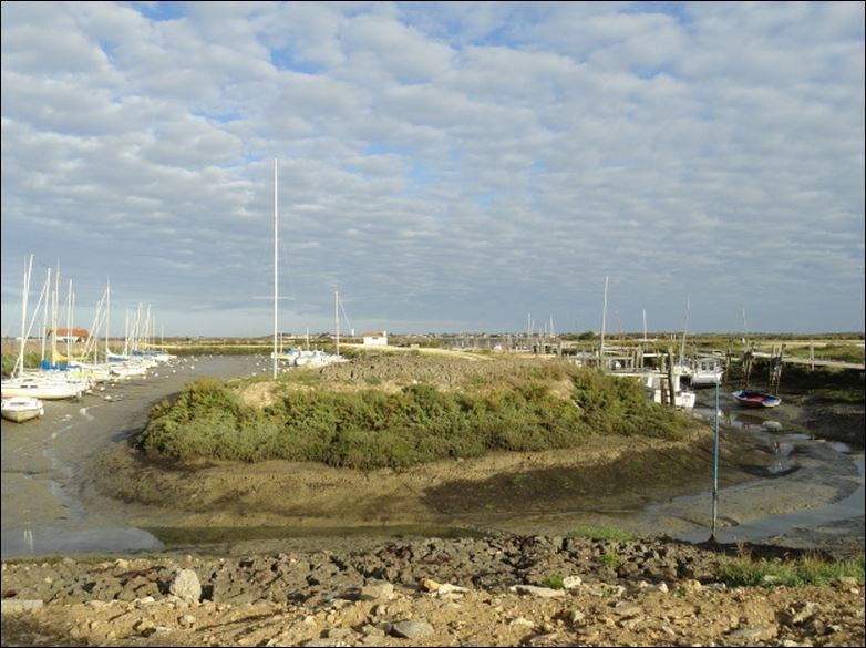 Paysages de l'île-de-Ré