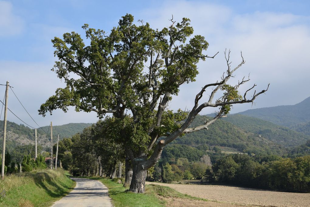 Petite balade à Montvendre