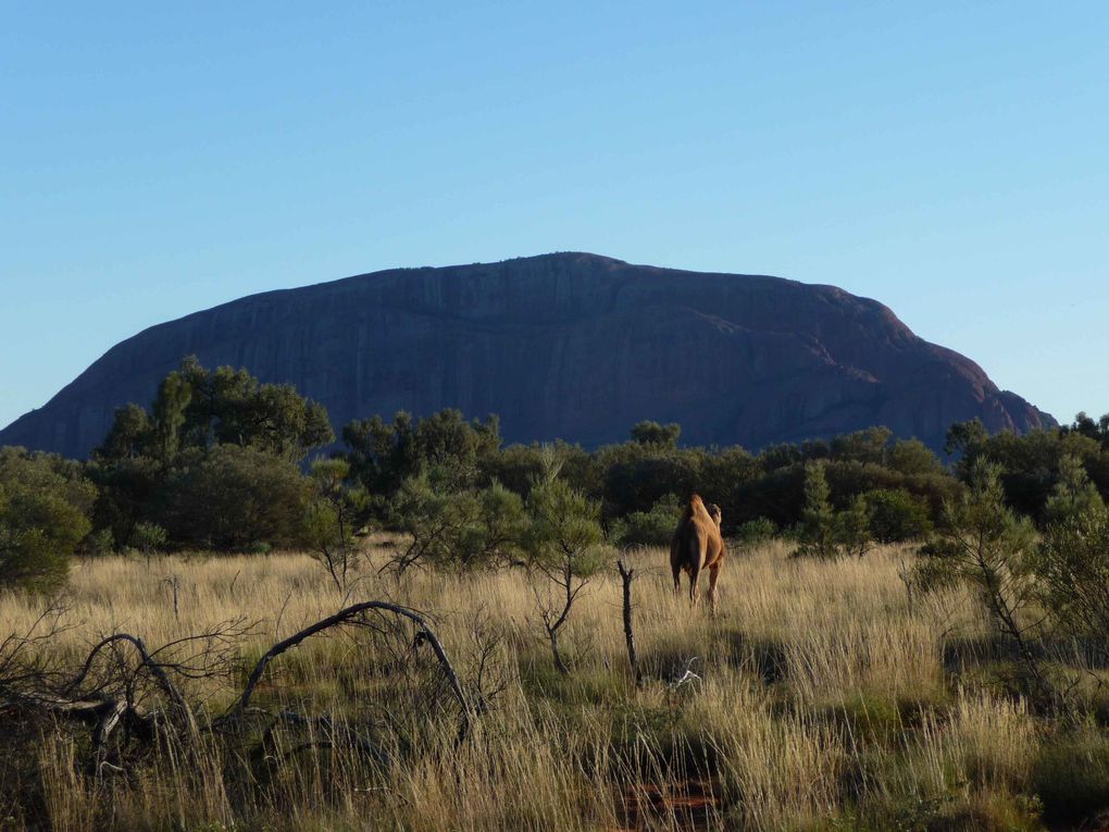 Album - Outback