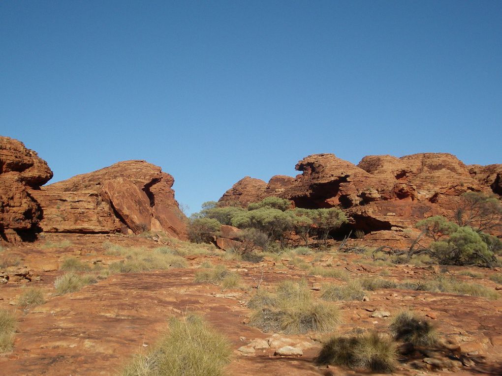 Album - The-Ultimate-Oz-Experience-2--Outback--The-Olgas---Ayers-Rock---Kings Canyon