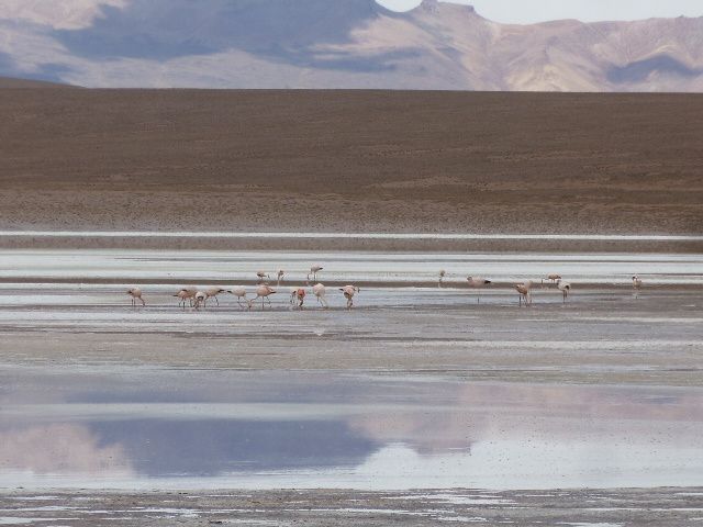 Album - 2012- q-Bolivie-tupiza-Uyuni