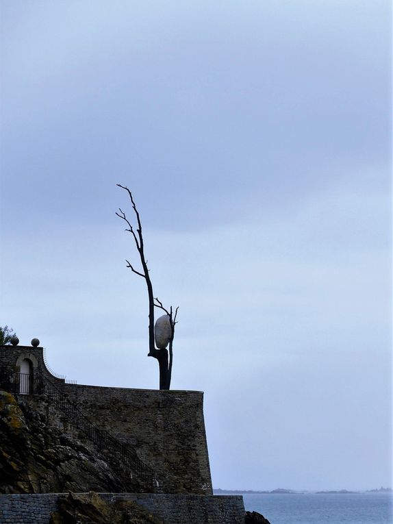 Les &quot;bancales&quot; à Cancale 