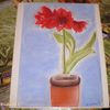 Amaryllis au pastels secs