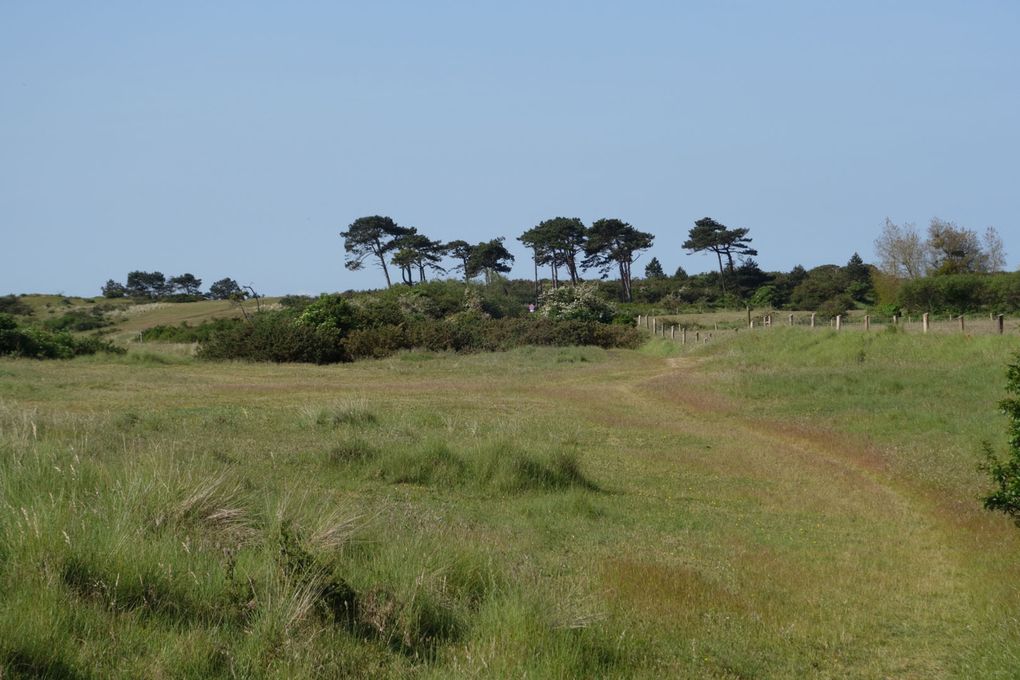 Séjour dans le Cotentin mai 2023