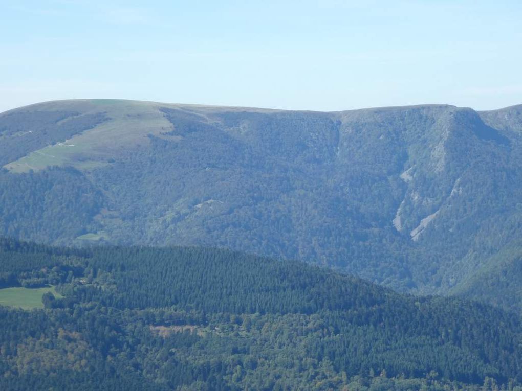 Diaporama : genévriers sauvages et vues sur la grande crête vosgienne (massif du Hohneck).