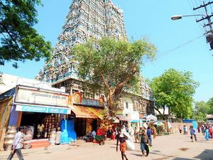 Madurai, poursuite en pays tamoul