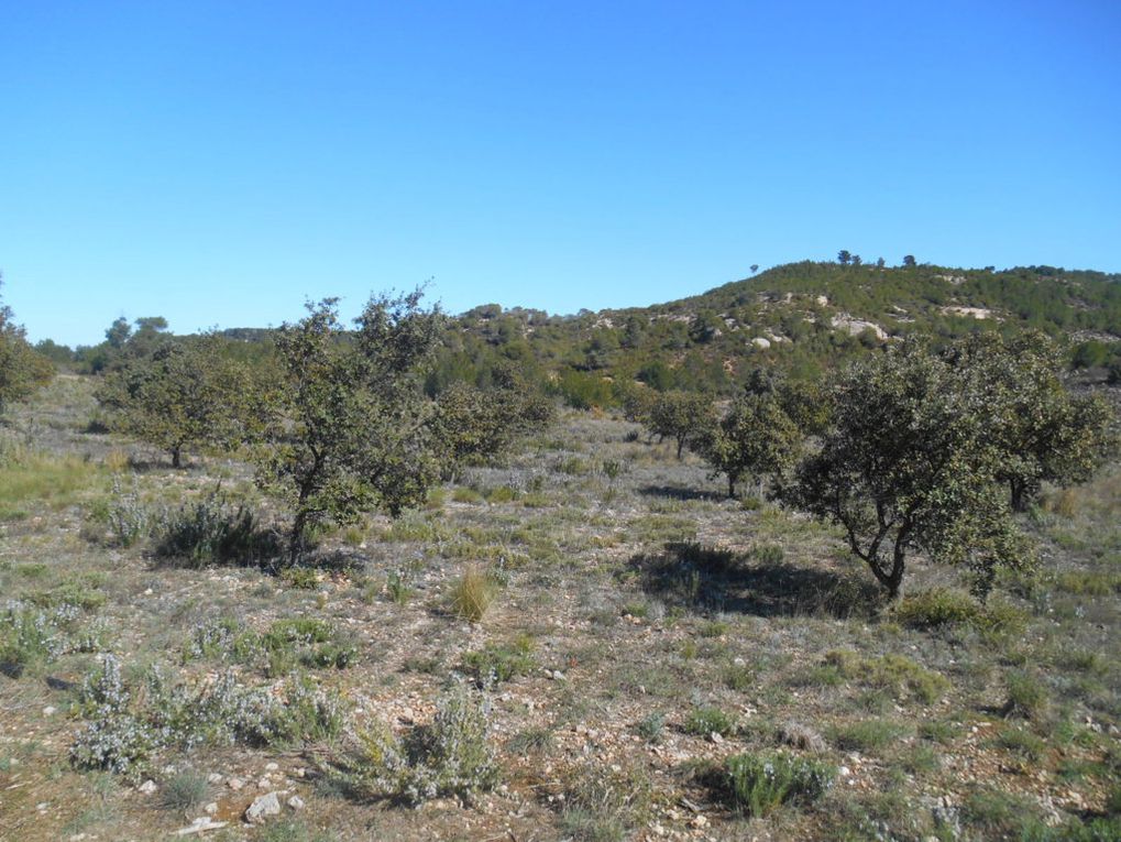 Rando du 4 Mars 2024 Plateau de Rognac