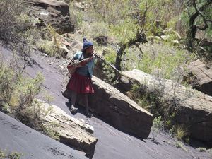 Echappée colorée dans la Cordillera de los Frailes