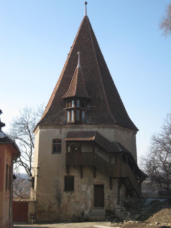 Sighisoara, le château de Bran et la mine de sel