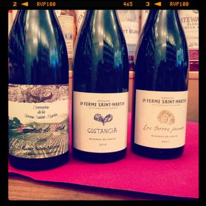 Domaine La Ferme Saint-Martin