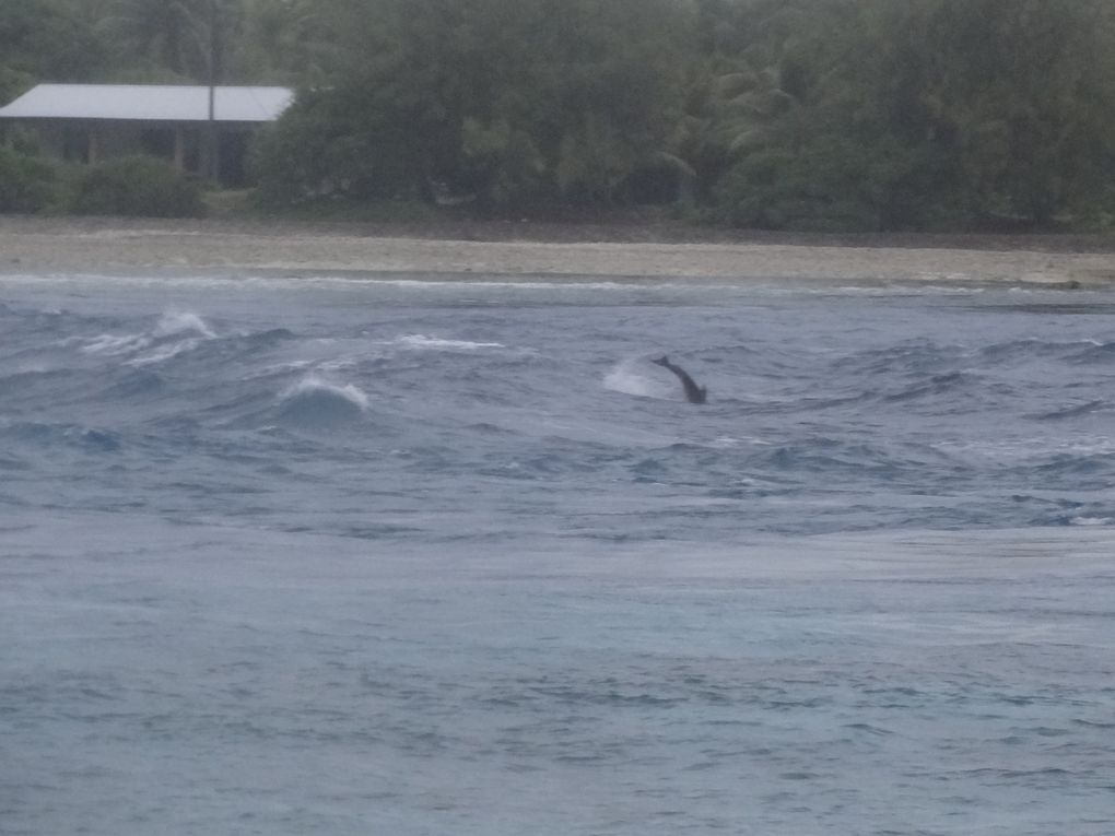 Vacances à Rangiroa en avril 2014