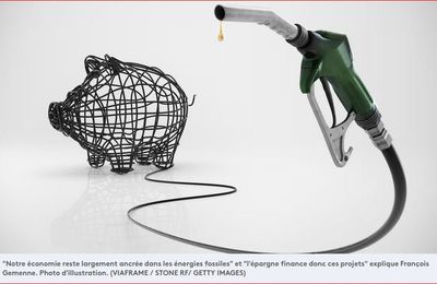 Votre épargne finance des projets d’extraction de charbon, de pétrole ou des projets de déforestation"