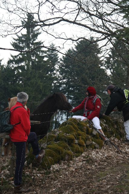 Album - semaine-de-jeune-dans-les-vosges