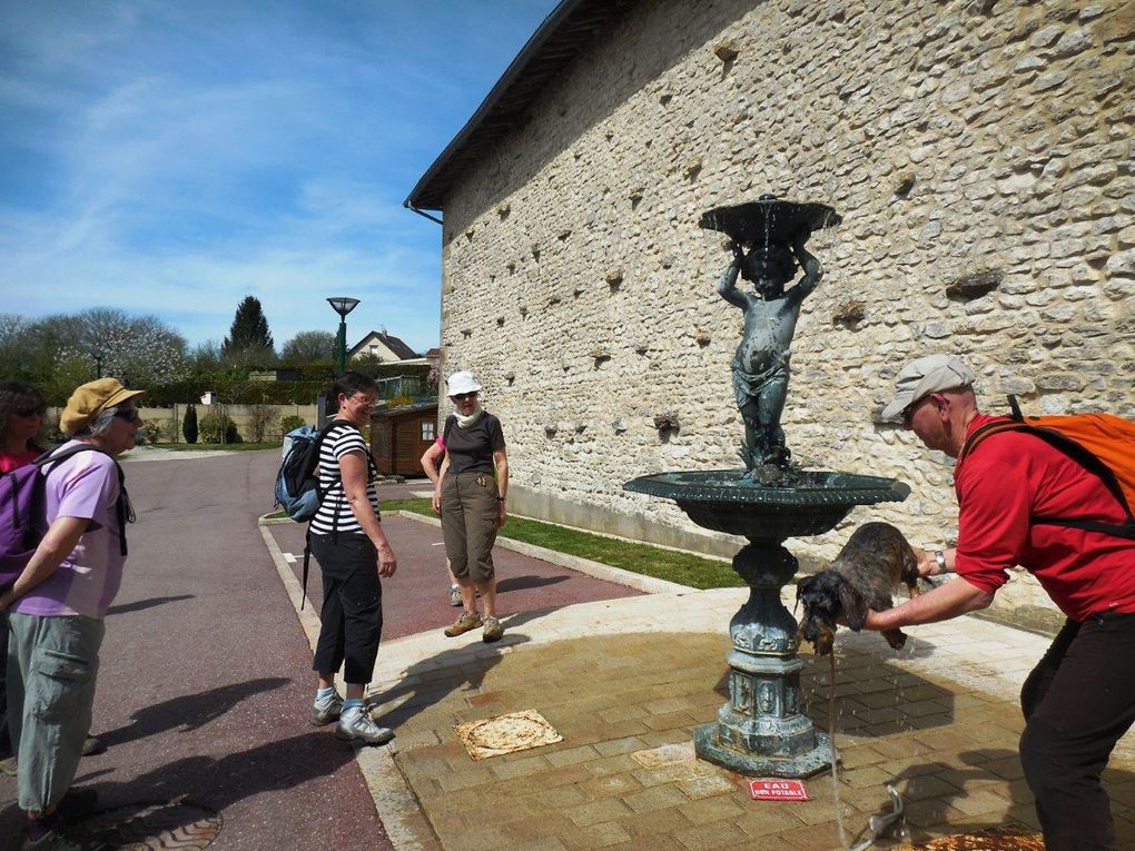 Rando Santé® avec les Trotte Voyottes (à partir de Behonne)