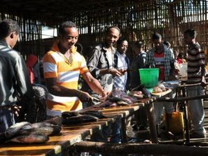 Nous nous sommes arrêtés à un marché de poissons.Un pur moment de bonheur africain.