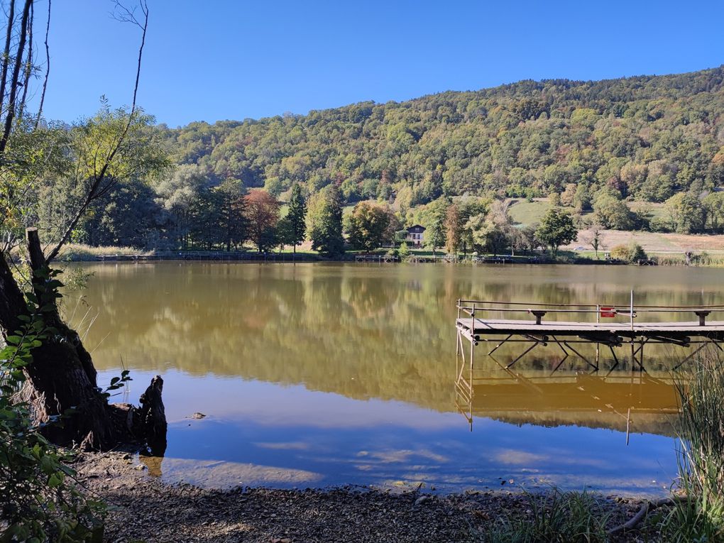 LAC DE PALADRU - BILLIEU