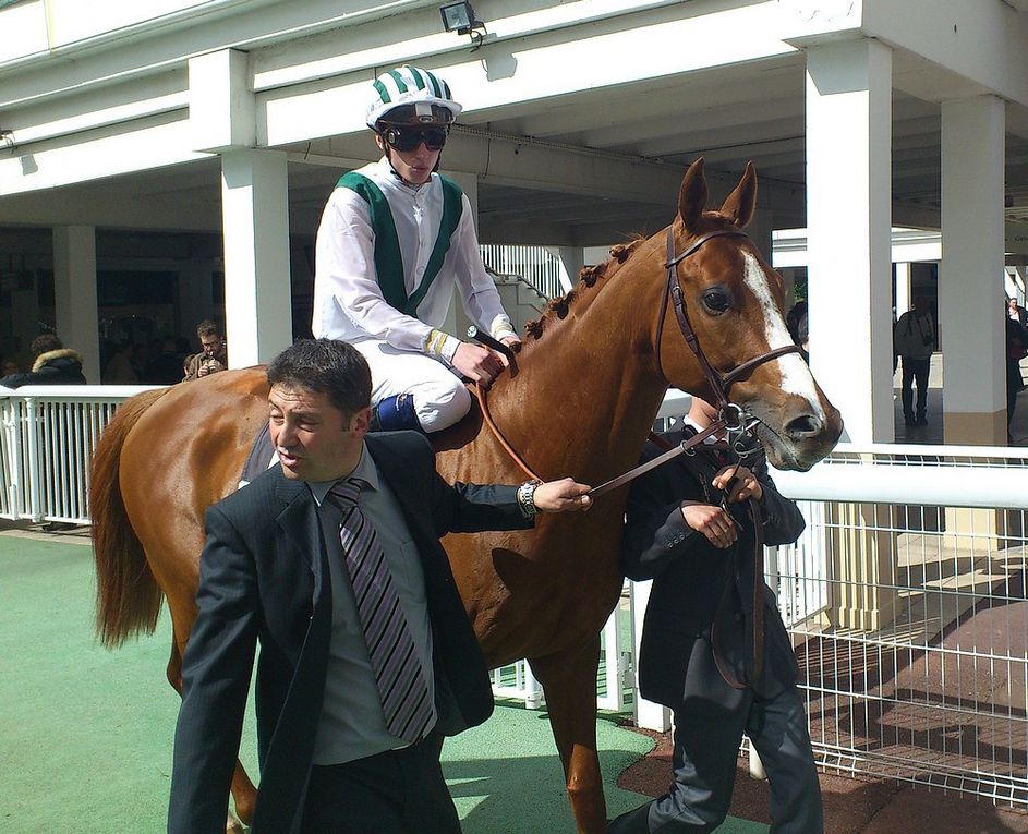 Album - 20120429-LONGCHAMP