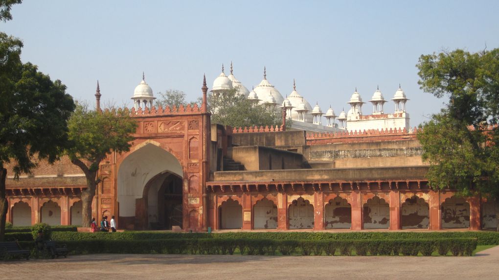 Album - Agra-et-Varanasi