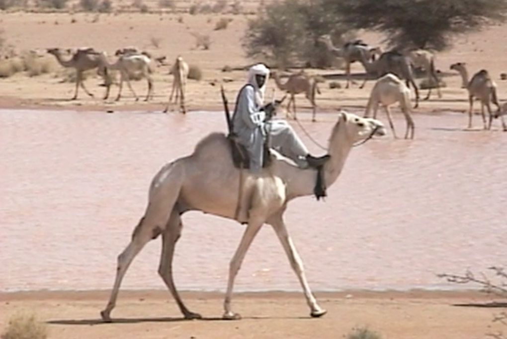 Album - Afrique-ouest