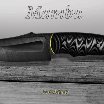 Projet : Le mamba