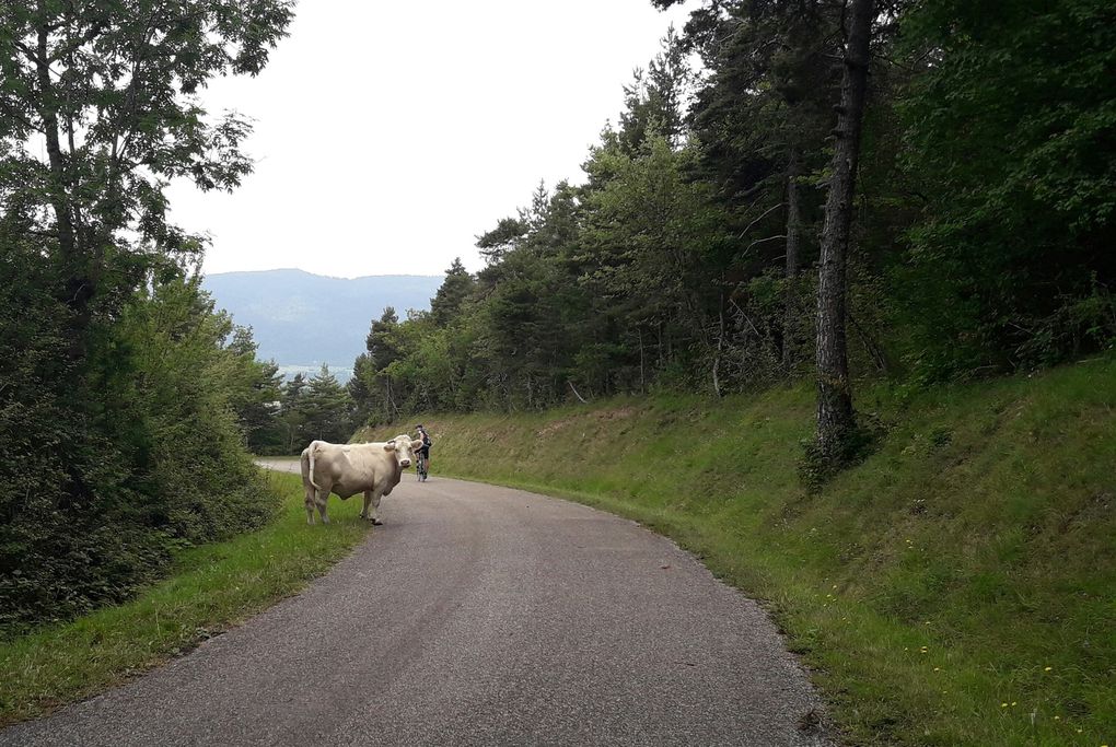 Massif des Bauges et Massif du Jura - Juillet 2017