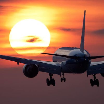 Coronavirus : Des avions volent sans passagers pour garder leurs « créneaux de vols »