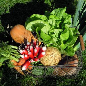 Micro-Ferme des Châtaigniers