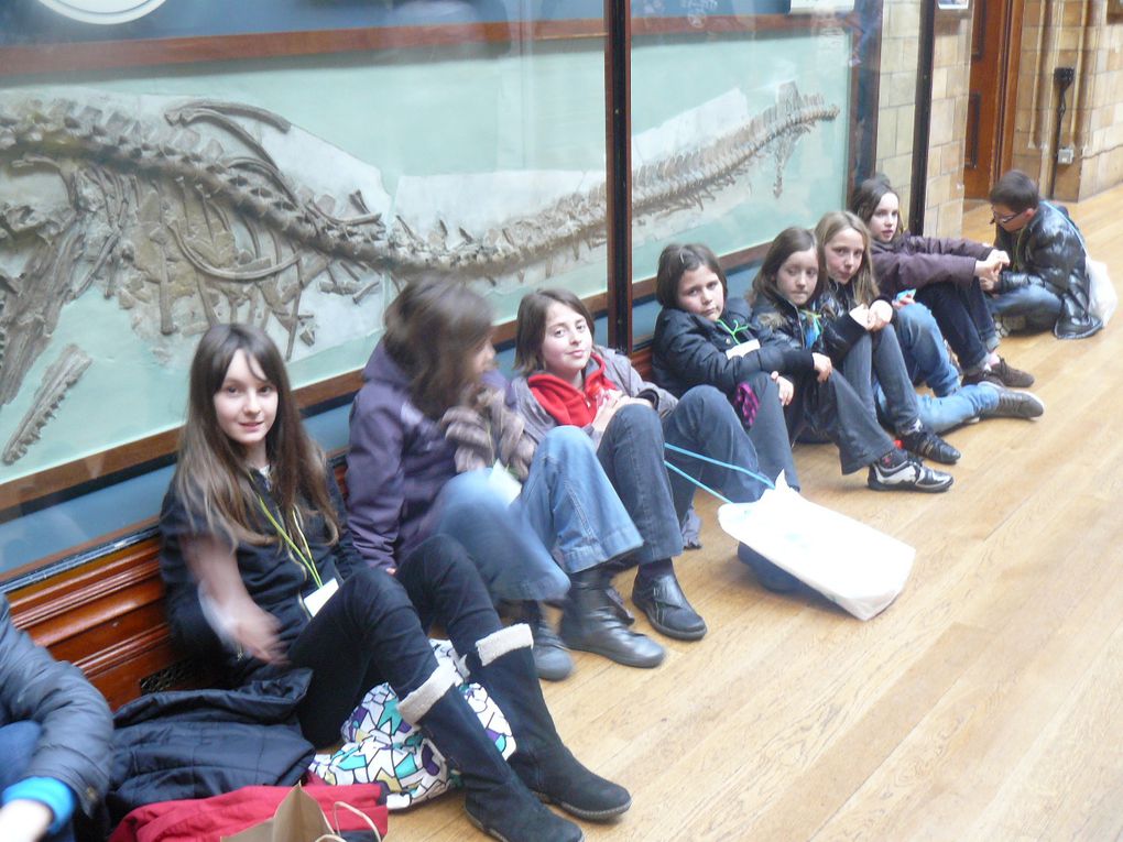 Album - Natural History Museum 2012