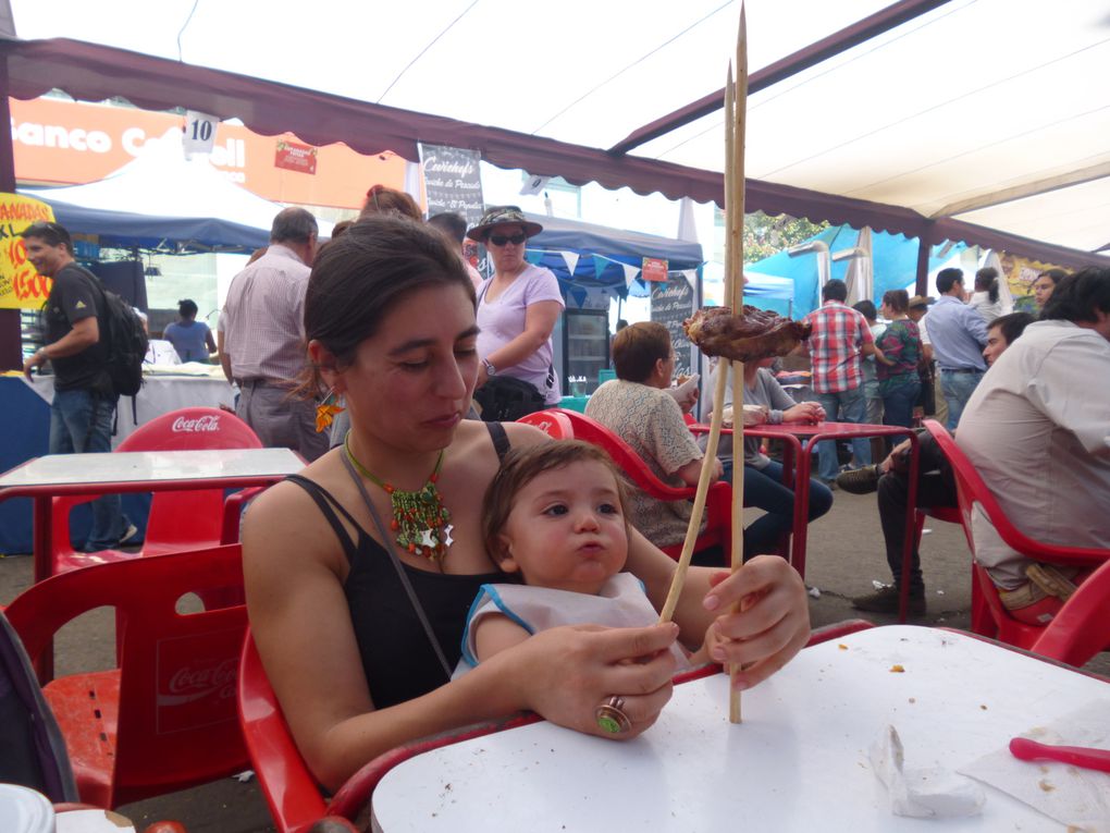 Nous dégustons de très bonnes brochettes d'agneau et de porc ainsi qu'une soupe de fruits de mer. Des fours en terre on été installés pour cuire les empanadas. Ensuite nous allons voir et écouter les danseurs de Cueca, danse typique chilienne.