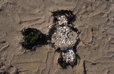 Parenthèse artistique à la Baie des Anges