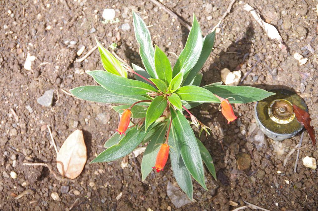 Le Parc Floral Coluche