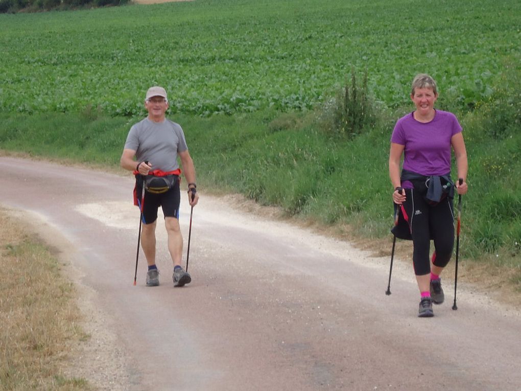 "Sous les plantes" les deux options