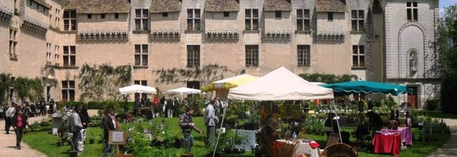 Fêtes et animations octobre 2014 Pays de Neuvic : journée des plantes, spectacle, soirée dansante....