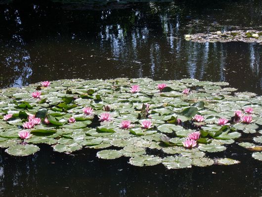 Du côté de Chez Claude Monet