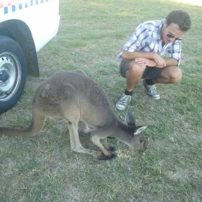 Les petits animaux d'Australie...