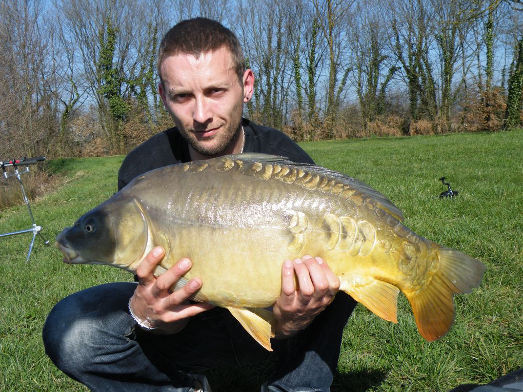 dans cet album vous trouverez toutes nos prise de carpes et de silures