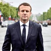 Terrible nouvelle pour Macron : à 3 mois de la présidentielle, sa popularité s'effondre : 4 points perdus - Le courrier du soir