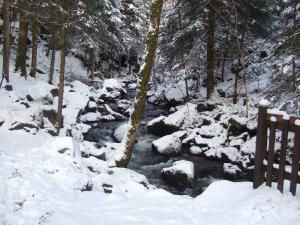 De la neige dans les Vosges......