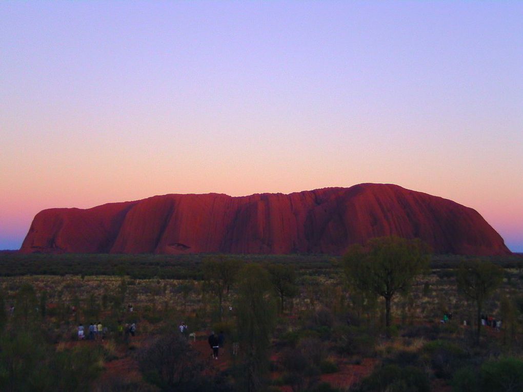 Album - The-Ultimate-Oz-Experience-2--Outback--The-Olgas---Ayers-Rock---Kings Canyon