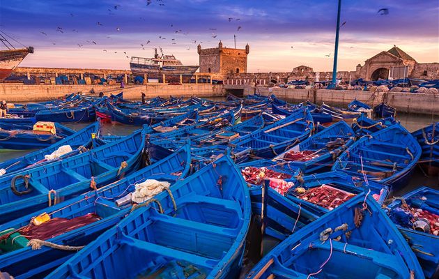 Excursion à Essaouira