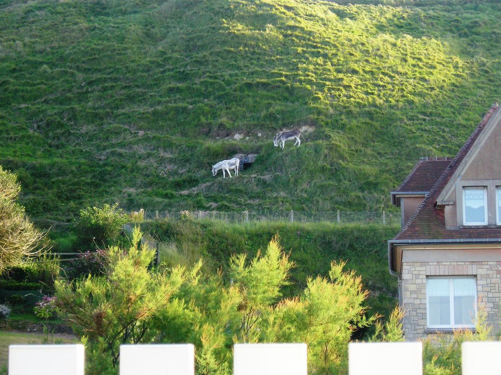 des Pays de Loire au Nord-pas-de-Calais, en passant par la Bretagne, la Normandie et la Picardie 