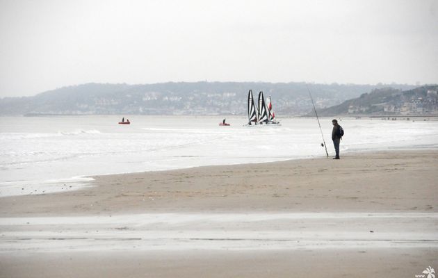 PHOTOS - La Cote Normande - 2013