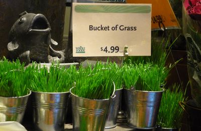 Ils vendent de l'herbe au supermarché !