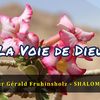 Vidéo 138 - La Voie de Dieu