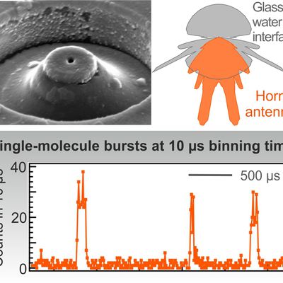 Achieving High Temporal Resolution in Single-Molecule Fluorescence Techniques using Plasmonic Nanoantennas