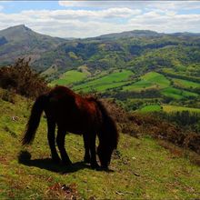 Balades, promenades et randonnées au Pays Basque, classées par dénivelé positif p3