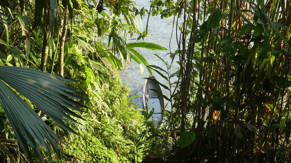 En Amazonie chez les Quechuas.