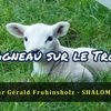 Vidéo 255 - L'Agneau sur le Trône