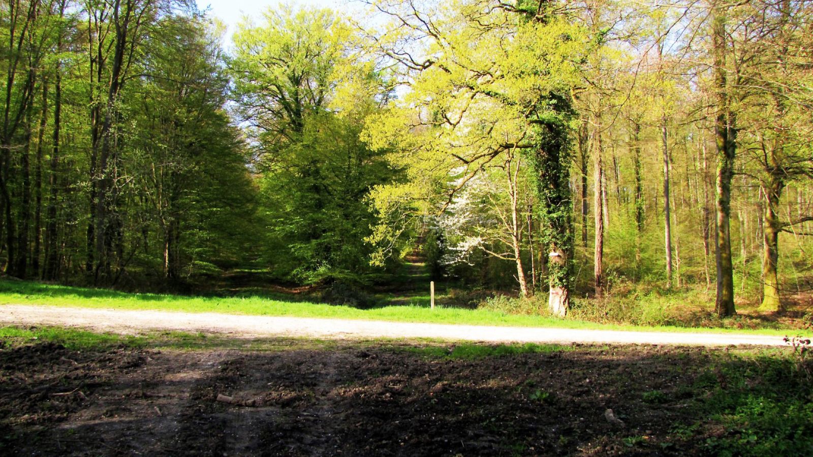 la Route Droite