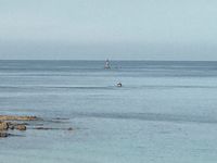 Trestignel le 1er Novembre, mer d'huile : les Goneds, la Horaine